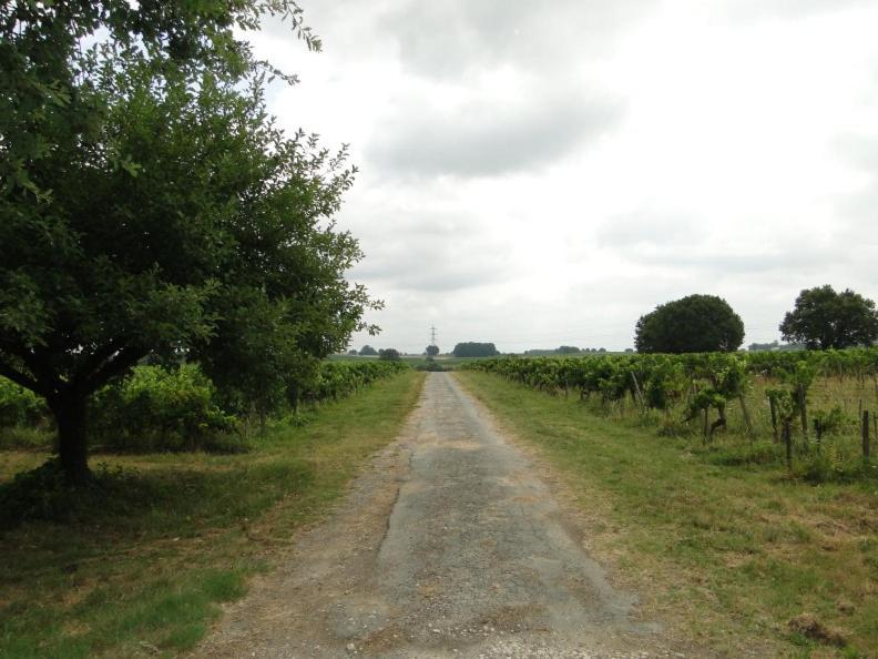 Chateau Monichot Organic Vineyard Tauriac  Exteriör bild